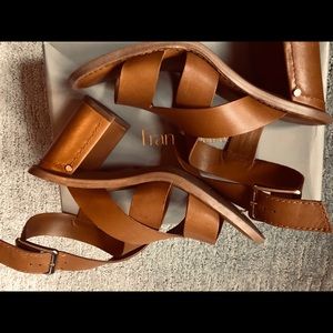franco sarto cache